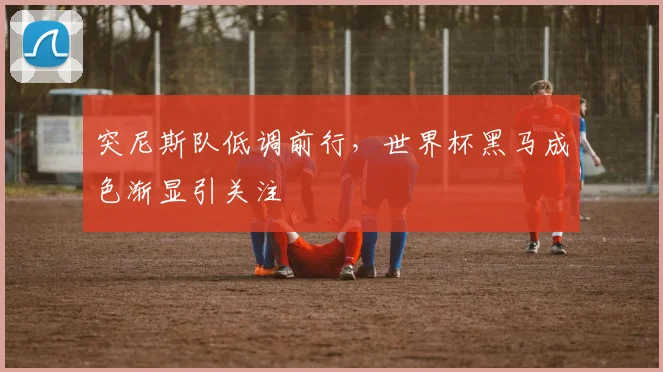 突尼斯队低调前行，世界杯黑马成色渐显引关注